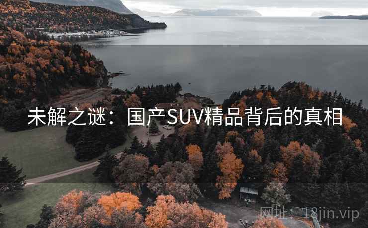 未解之谜：国产SUV精品背后的真相
