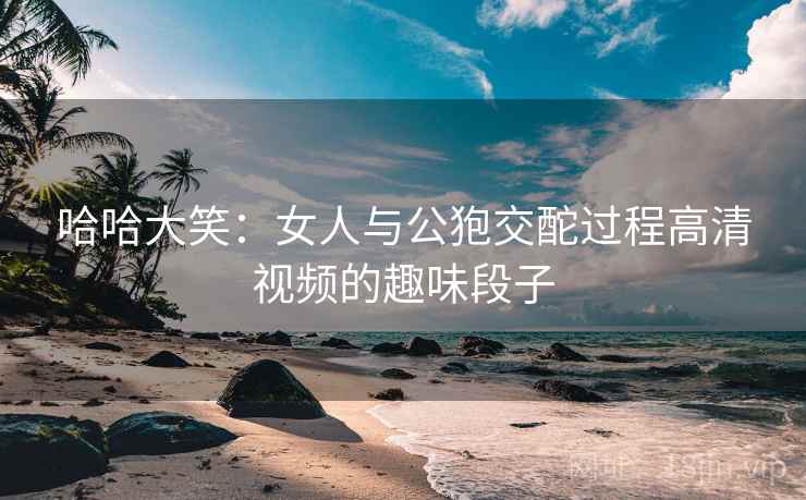 哈哈大笑：女人与公狍交酡过程高清视频的趣味段子