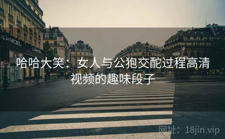 哈哈大笑：女人与公狍交酡过程高清视频的趣味段子